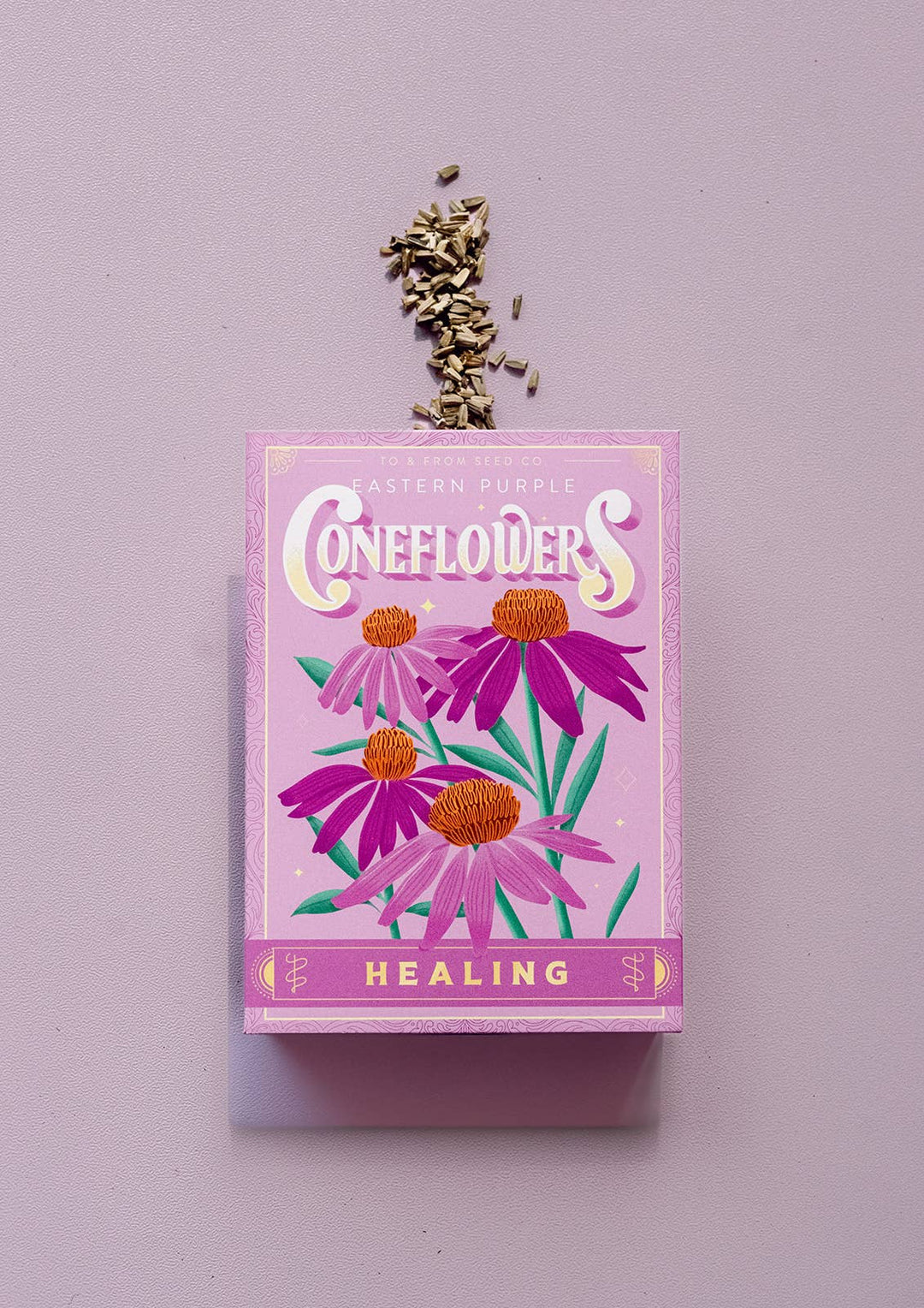Purple Coneflowers (Healing) - Floriography Seed Packet