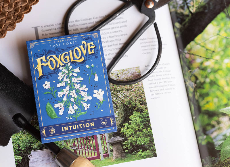 Foxglove (Intuition) - Floriography Seed Packet