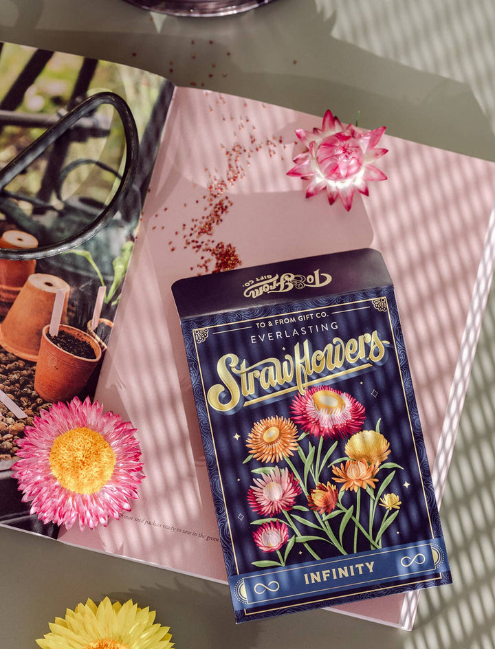Strawflowers (Infinity) - Floriography Seed Packet