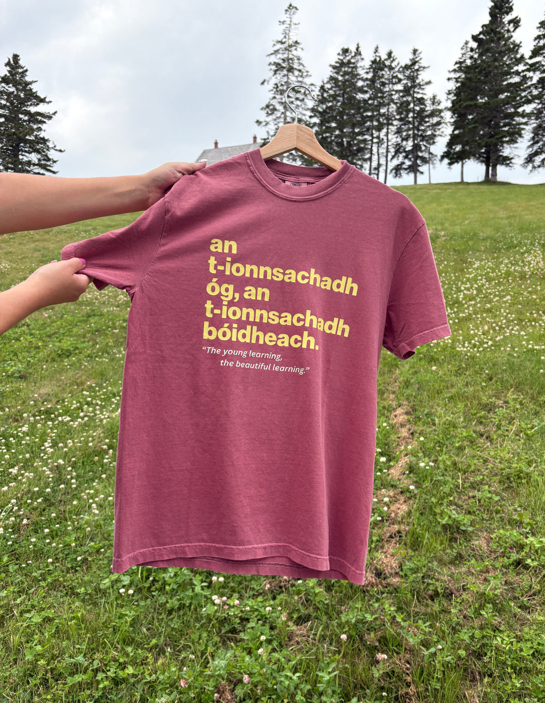 The Young Learning, the Beautiful Learning | Gaelic T-shirt