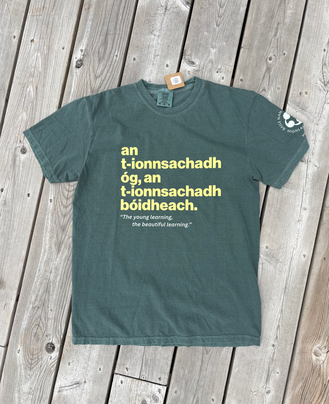 The Young Learning, the Beautiful Learning | Gaelic T-shirt
