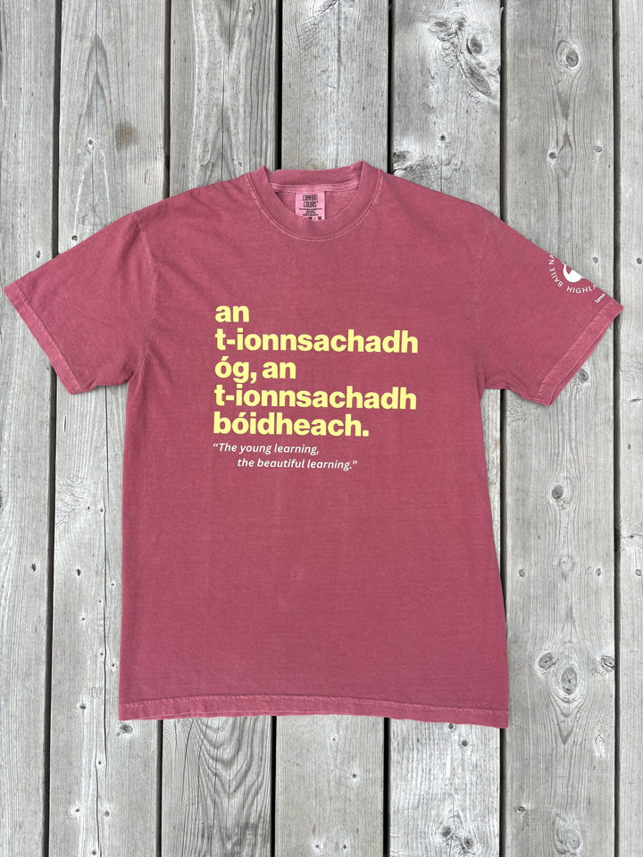 The Young Learning, the Beautiful Learning | Gaelic T-shirt