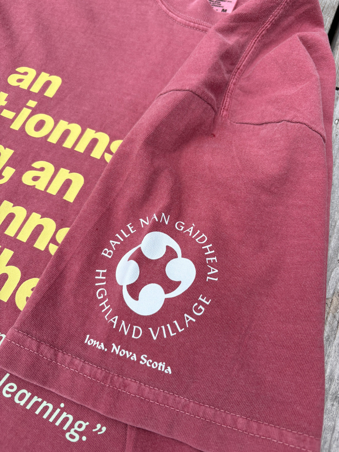 The Young Learning, the Beautiful Learning | Gaelic T-shirt