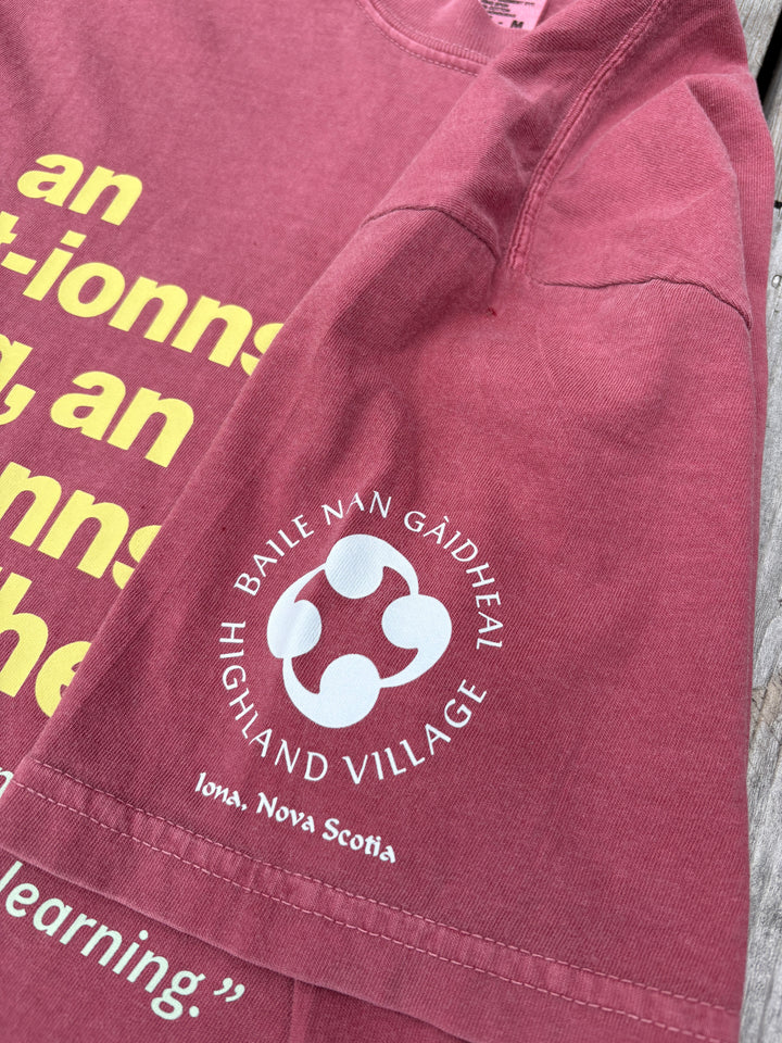 The Young Learning, the Beautiful Learning | Gaelic T-shirt