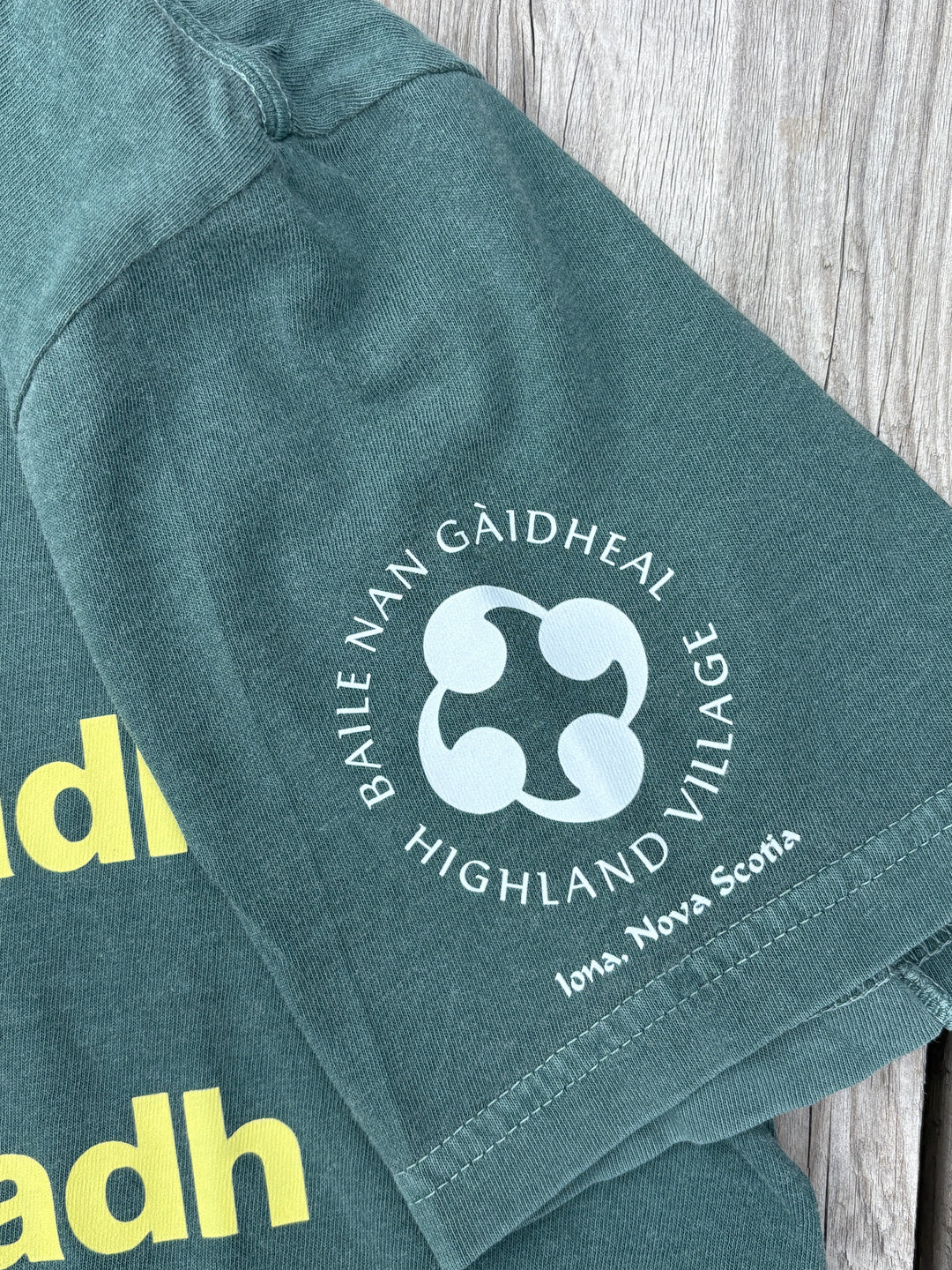 The Young Learning, the Beautiful Learning | Gaelic T-shirt