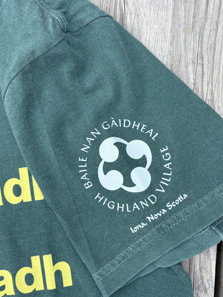 The Young Learning, the Beautiful Learning | Gaelic T-shirt