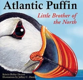 Atlantic Puffin