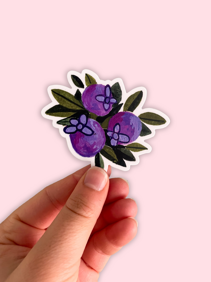 Blueberries - Vinyl Sticker