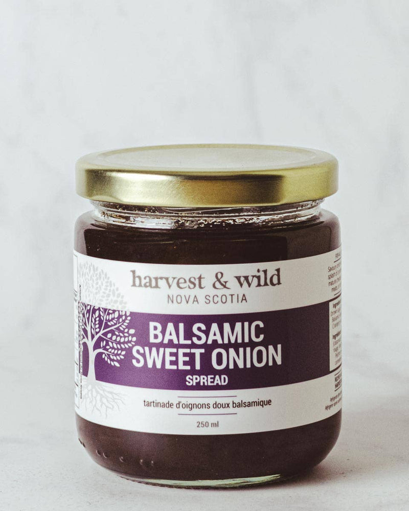 Balsamic Sweet Onion spread