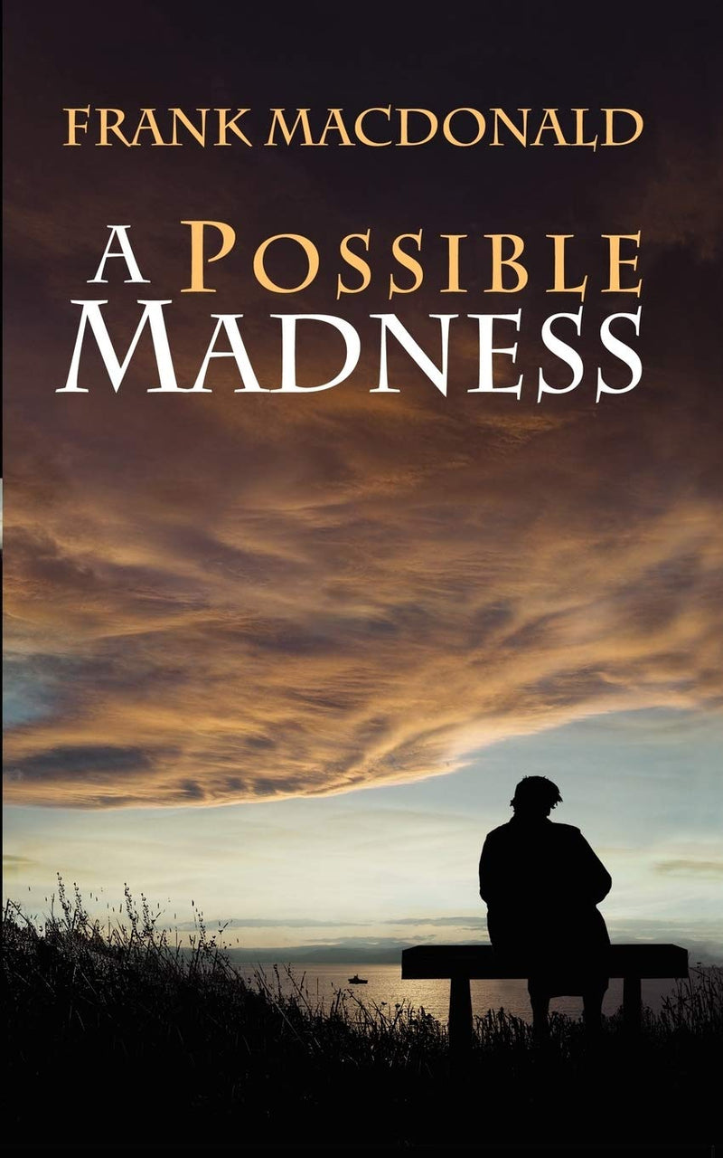 Book Cover- A Possible Madness. Silhouette image of a person sitting on a bench overlooking the water.