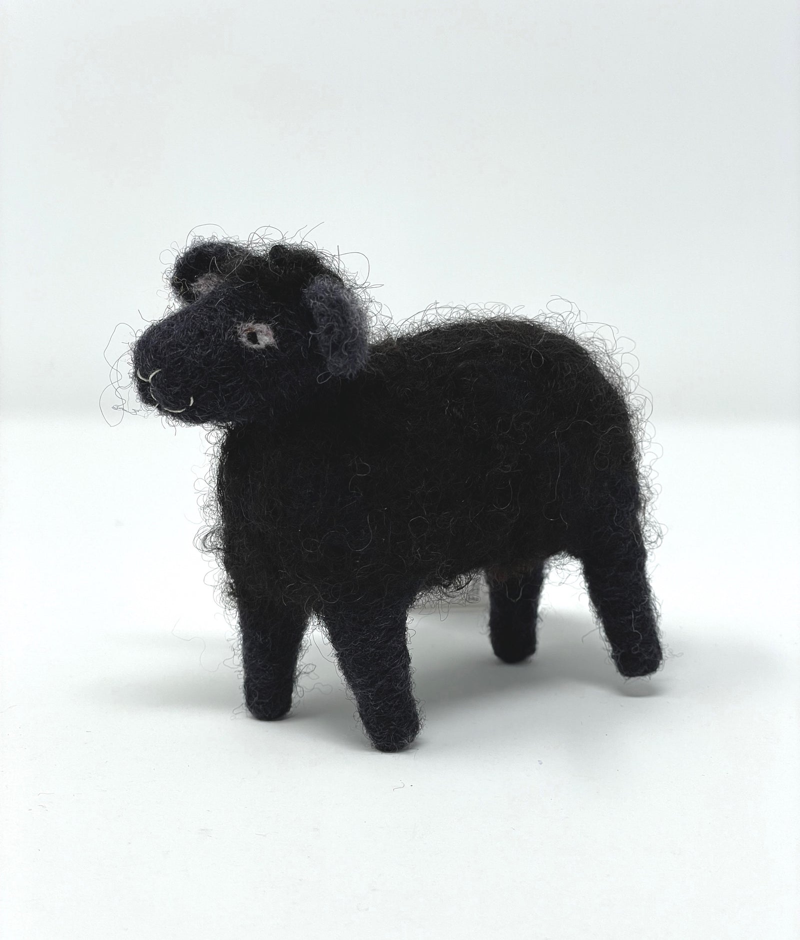 Felted Black Sheep 