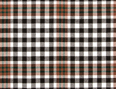 Lambswool Scarf in Burns Check Tartan